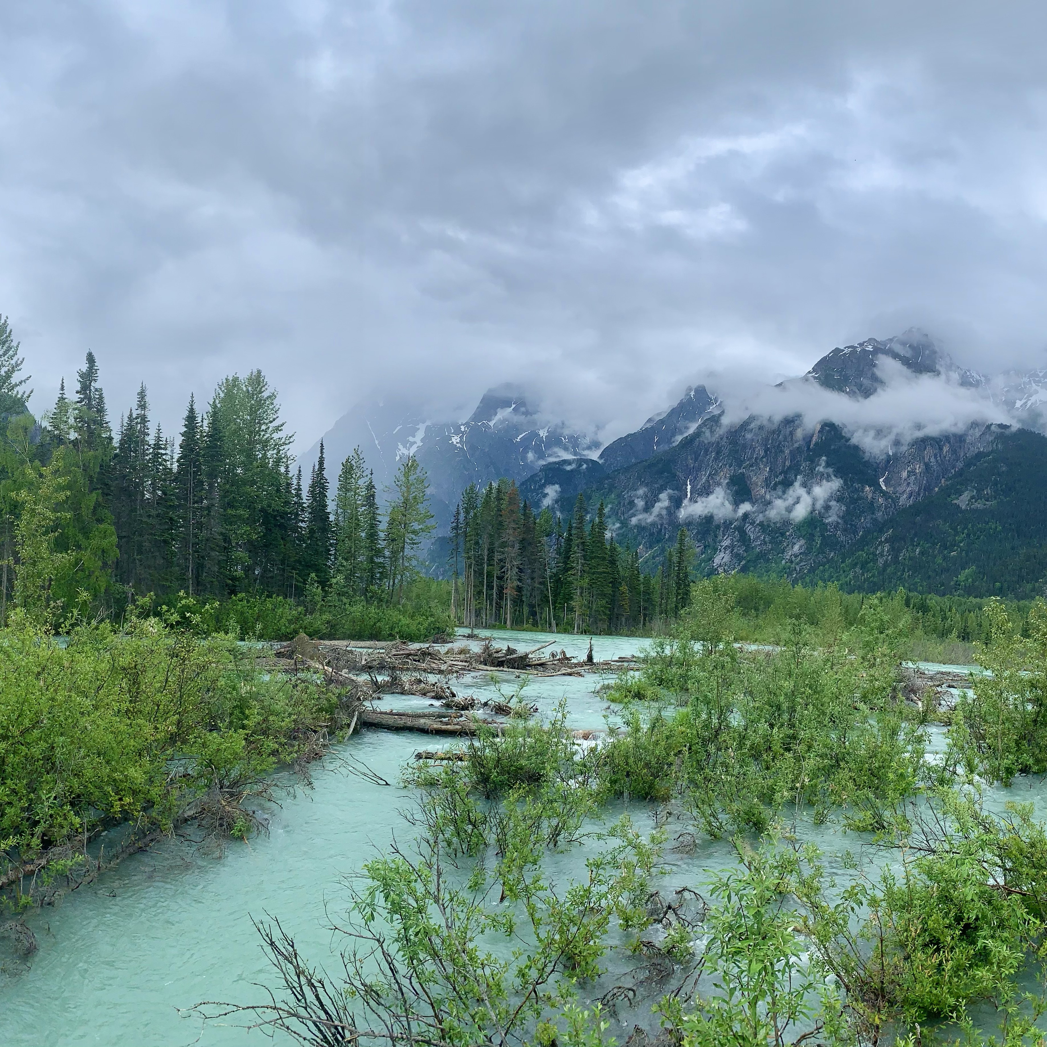 Stikine River Adventure from Banana Point